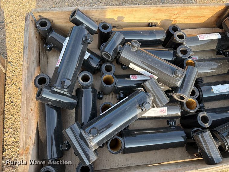 image for item EU5839 (17) Lion WD 3000 hydraulic cylinders