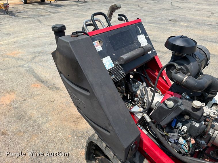 image for item FI0336 Barreto 30-SG stump grinder