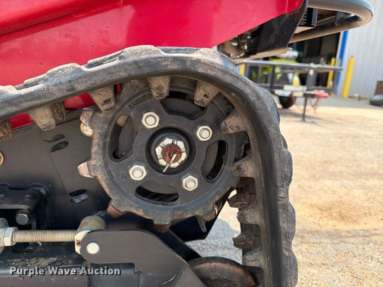 image for item FI0336 Barreto 30-SG stump grinder