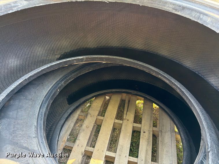 image for item FK3204 (2) Treileborg 520/70B34 tires