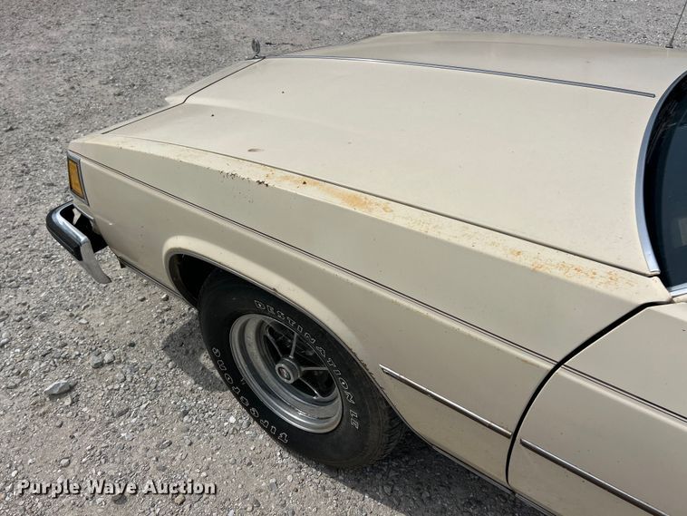 image for item FT6005 1984 Buick Lesabre 