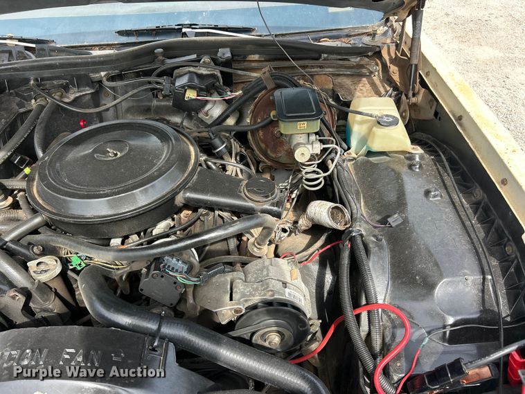 image for item FT6005 1984 Buick Lesabre 