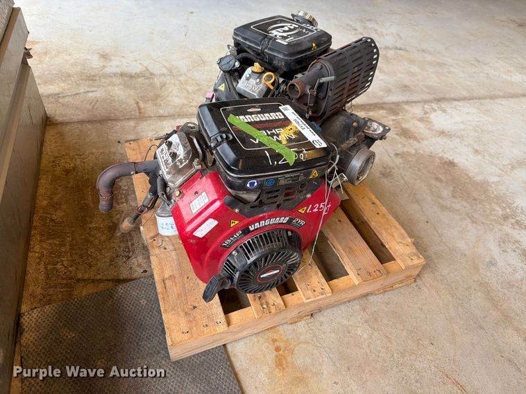 image for item EV2404 (2) pumps