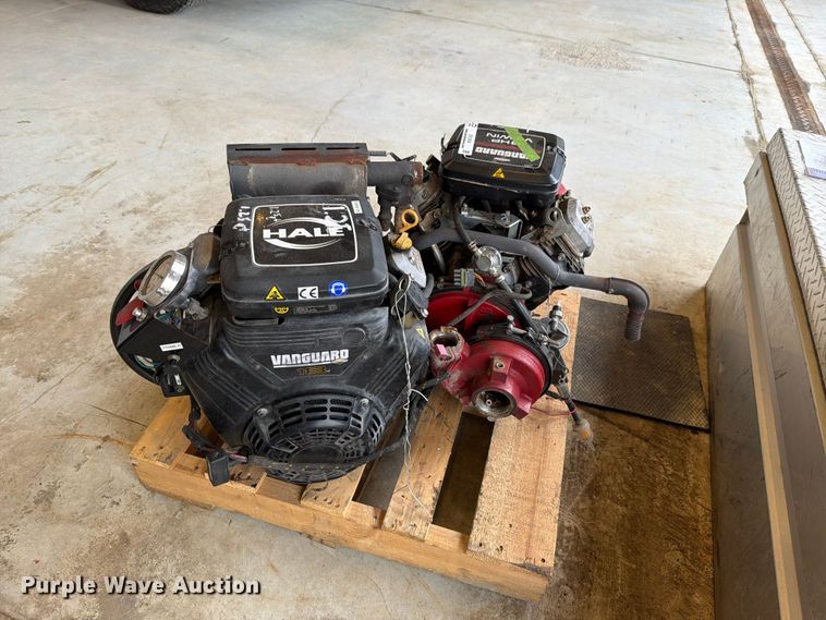 image for item EV2404 (2) pumps