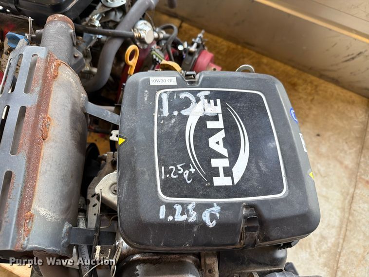 image for item EV2404 (2) pumps