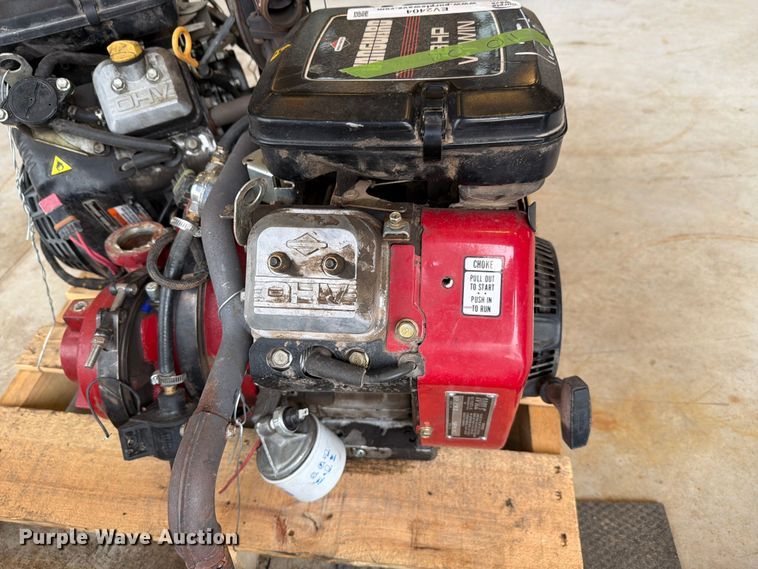image for item EV2404 (2) pumps