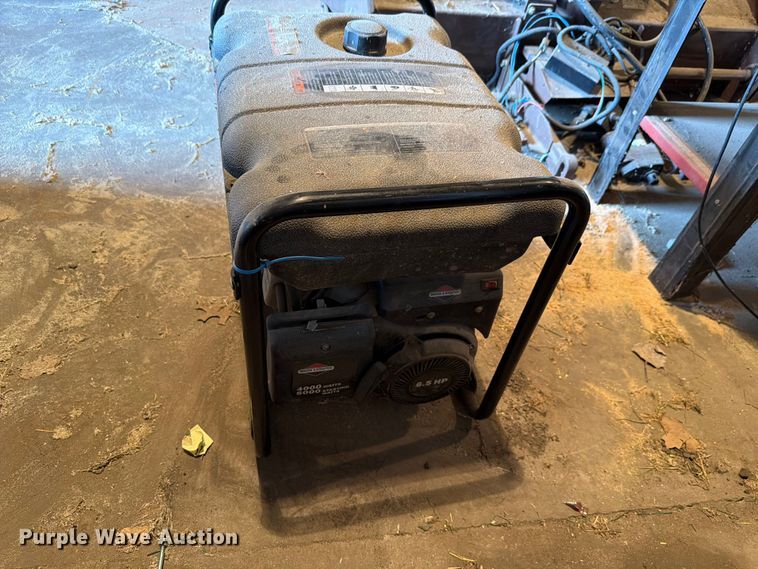 image for item EV2463 Briggs and Stratton generator