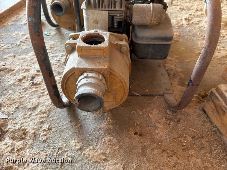 image for item EV2470 (2) water pumps
