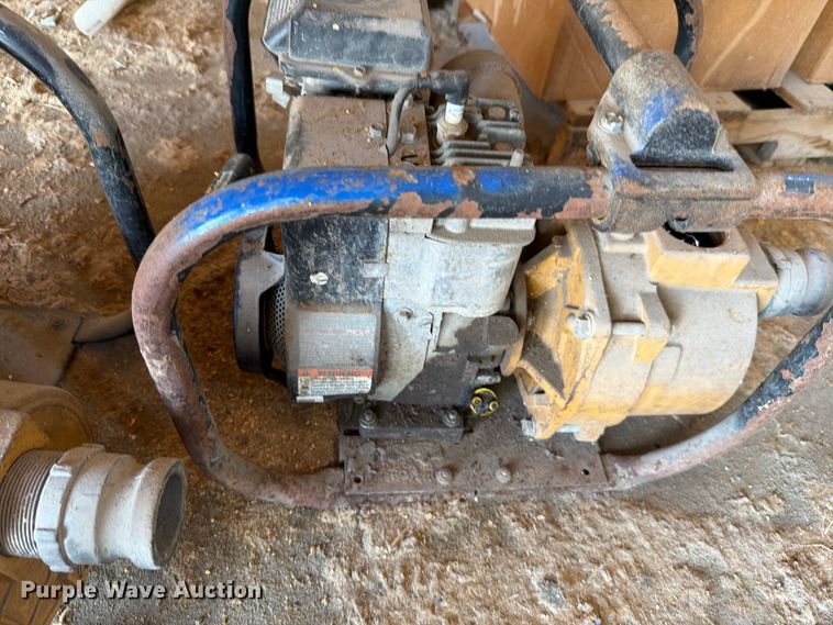 image for item EV2470 (2) water pumps
