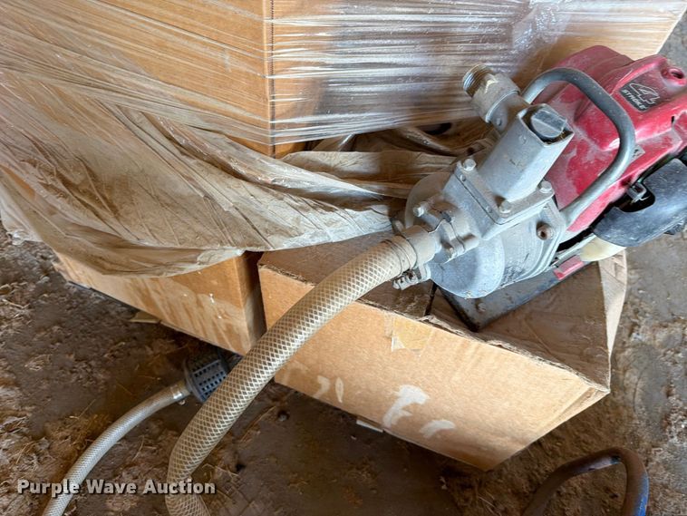 image for item EV2471 (2) water pumps