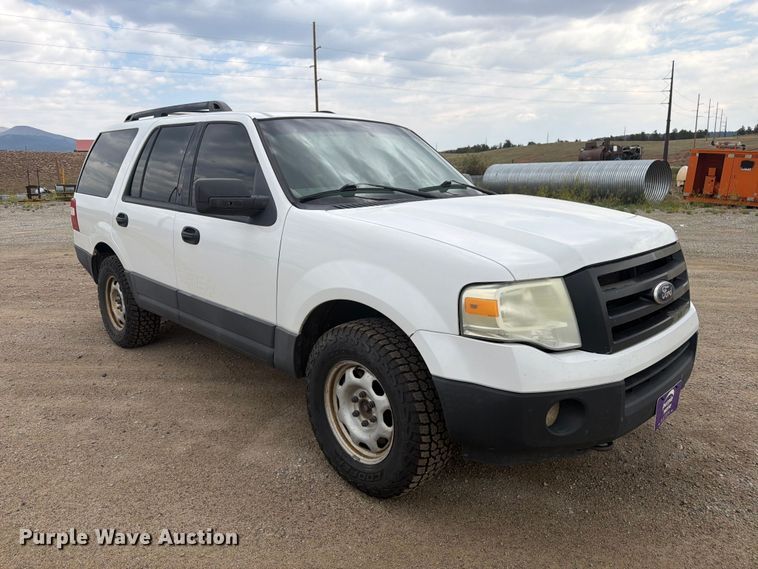 image for item FM7621 2010 Ford Expedition SUV