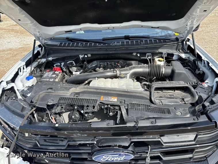 image for item DZ4611 2025 Ford Expedition Max Active SUV