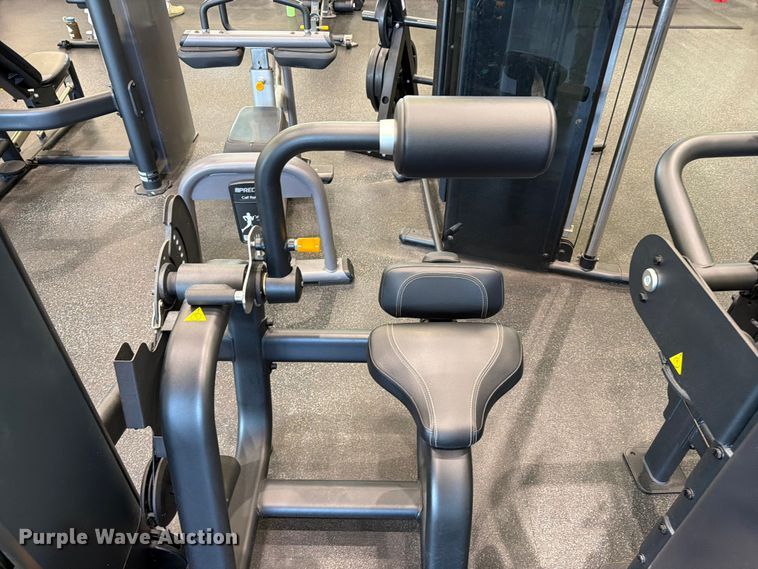 image for item MZ9881 Precor Discovery Selectorized Strength Line back extension machine