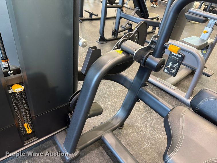 image for item MZ9881 Precor Discovery Selectorized Strength Line back extension machine