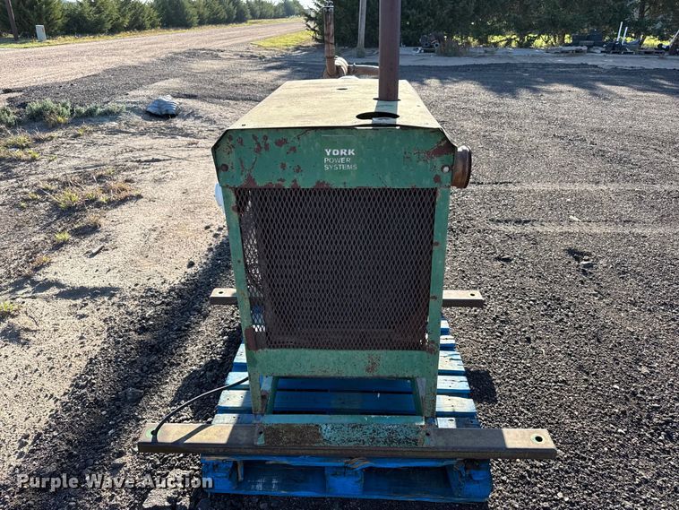 image for item EW4202 York Power Systems pump