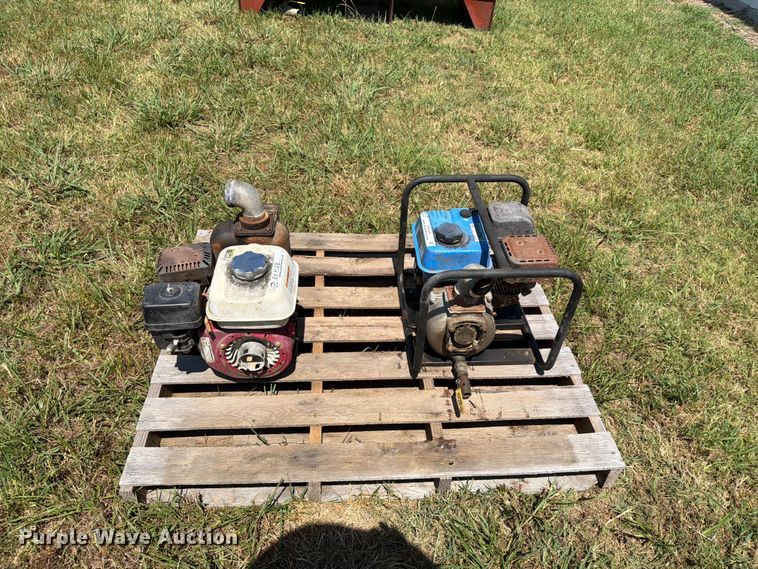 image for item EX4128 (2) pumps