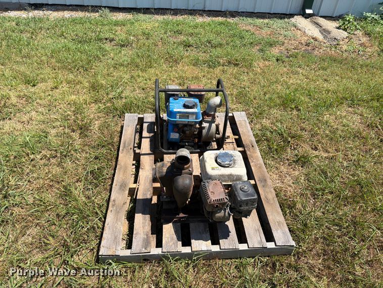 image for item EX4128 (2) pumps