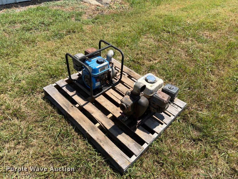 image for item EX4128 (2) pumps