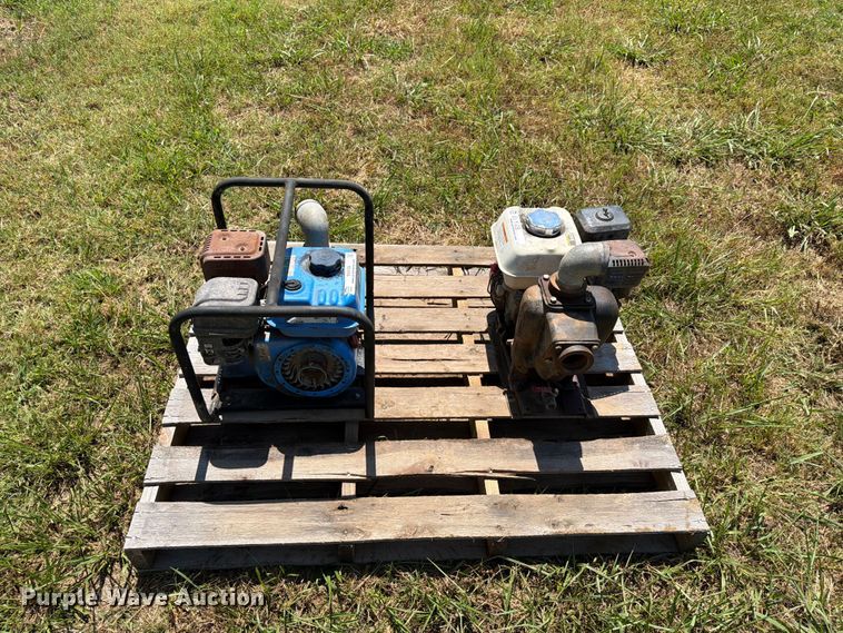 image for item EX4128 (2) pumps