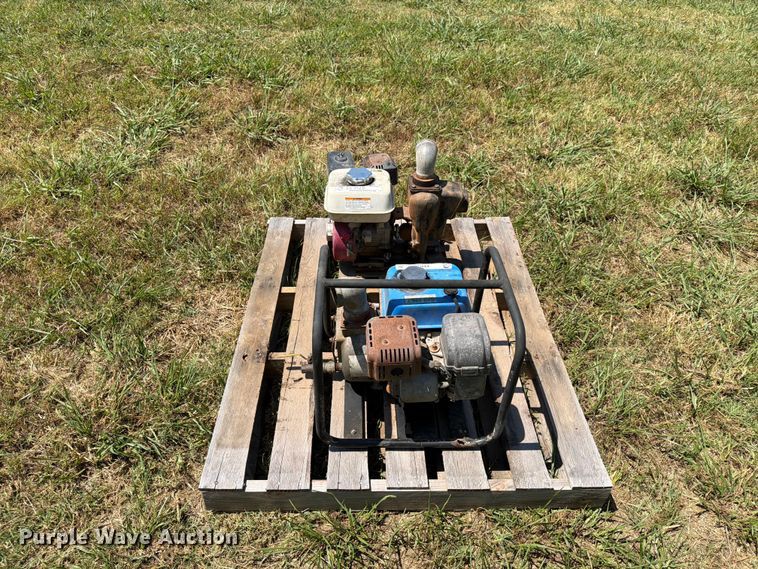 image for item EX4128 (2) pumps