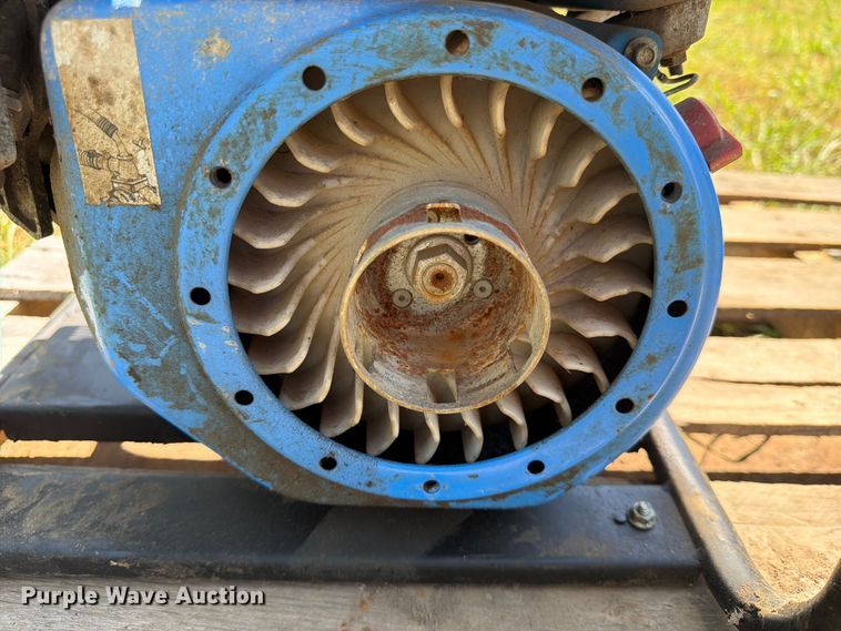 image for item EX4128 (2) pumps