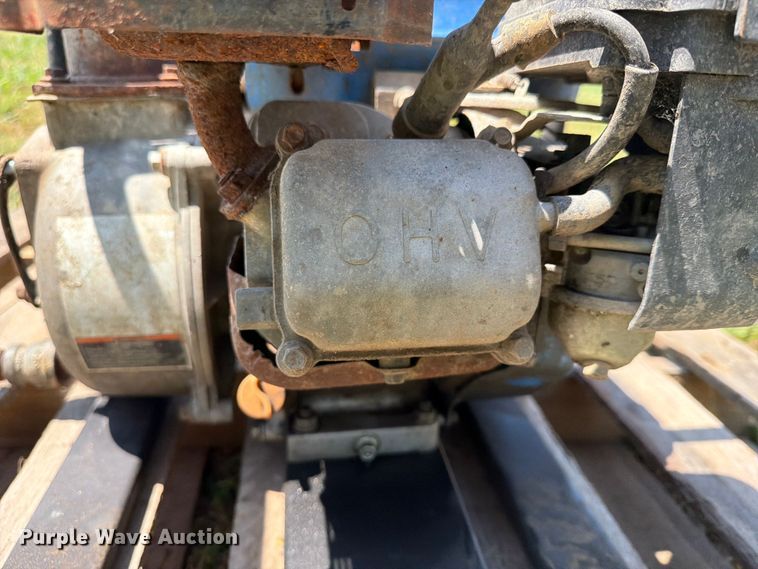 image for item EX4128 (2) pumps