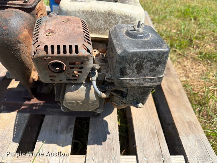 image for item EX4128 (2) pumps