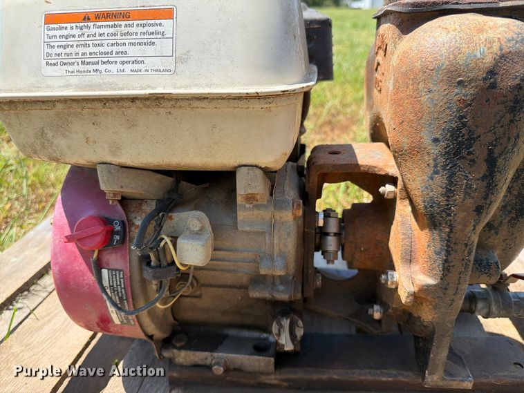 image for item EX4128 (2) pumps