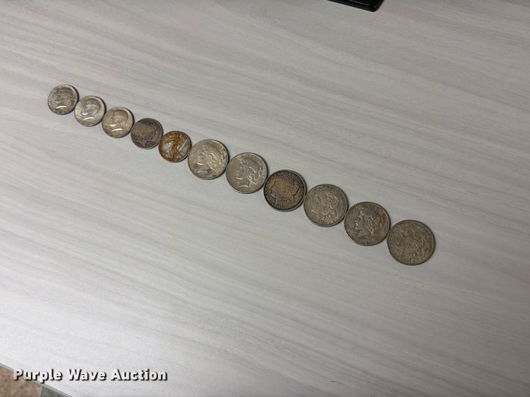 image for item FT6597 (11) silver coins