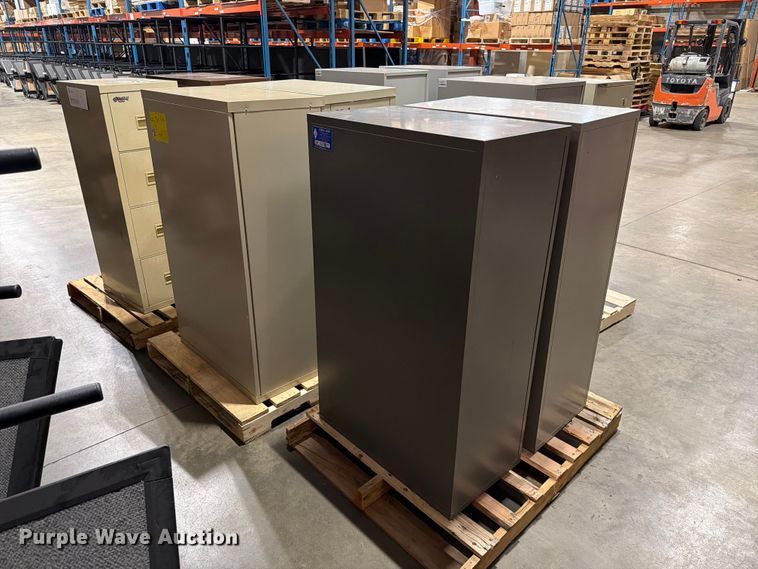 image for item FT6695 (10) Fireproof File cabinets