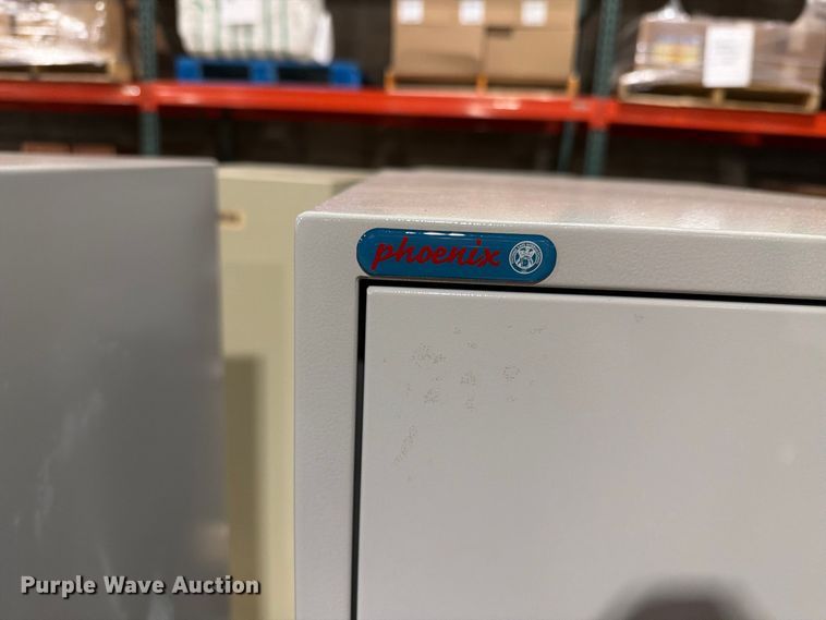 image for item FT6695 (10) Fireproof File cabinets