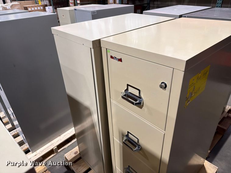 image for item FT6695 (10) Fireproof File cabinets
