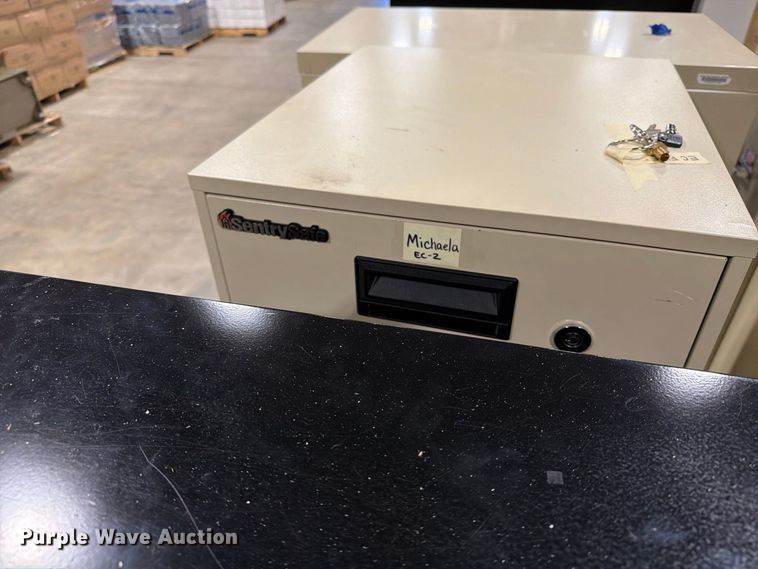 image for item FT6696 (10) Fireproof Filing Cabinets