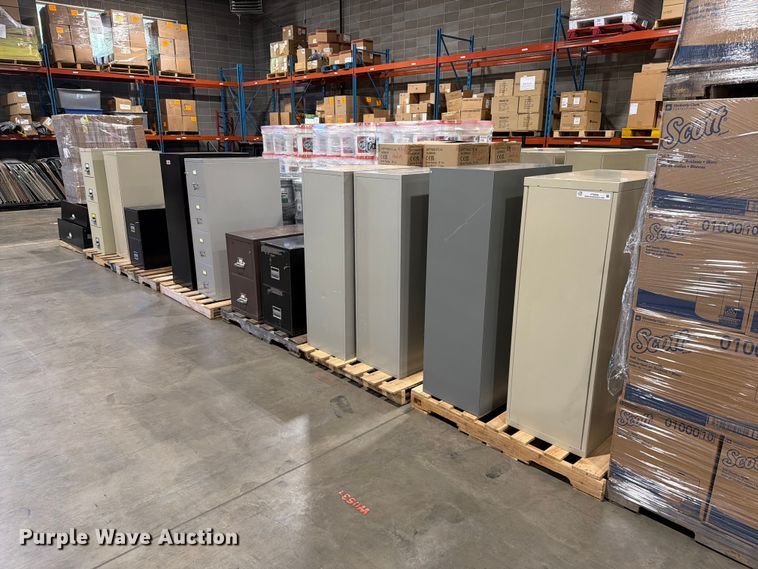 (12) Fireproof Filing Cabinets