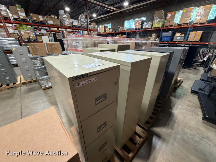 image for item FT6699 (10) Fireproof Filing Cabinets