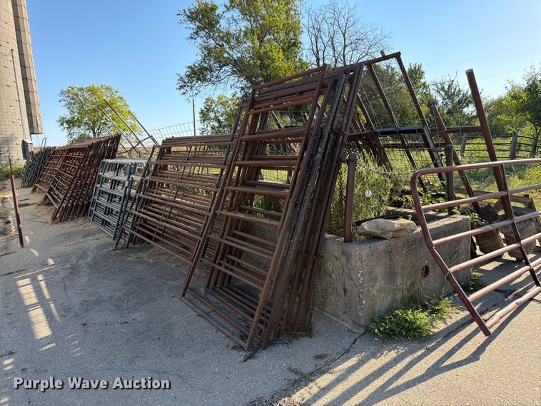 Approximately 5 livestock panels