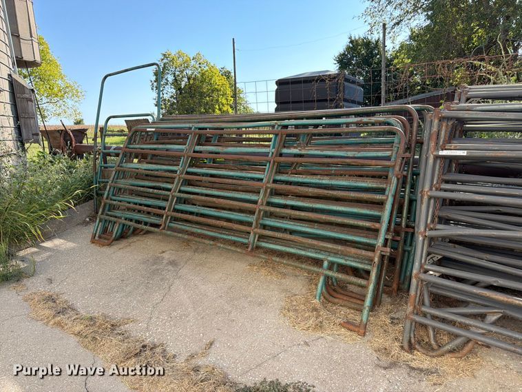 Approximately 8 livestock panels