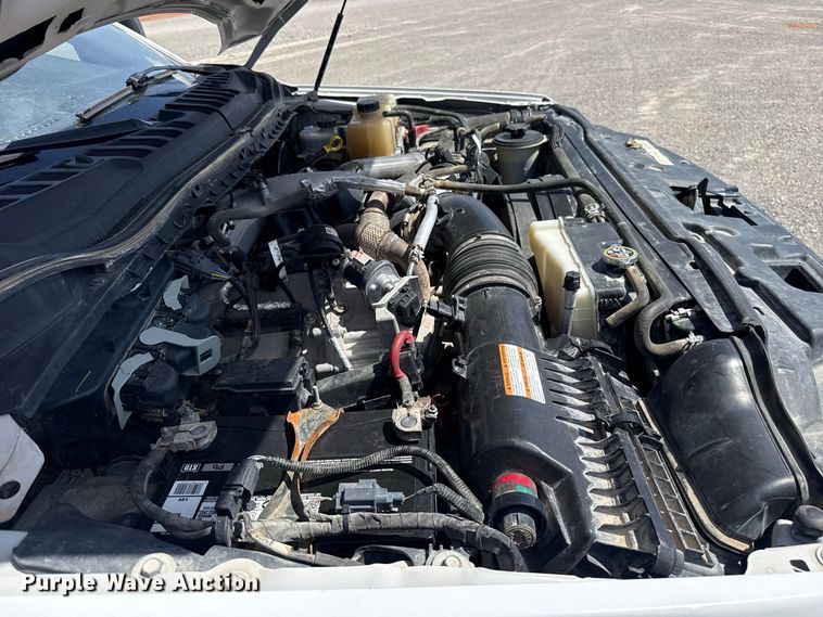 image for item EW8725 2021 Ford F250 Super Duty Crew Cab pickup truck