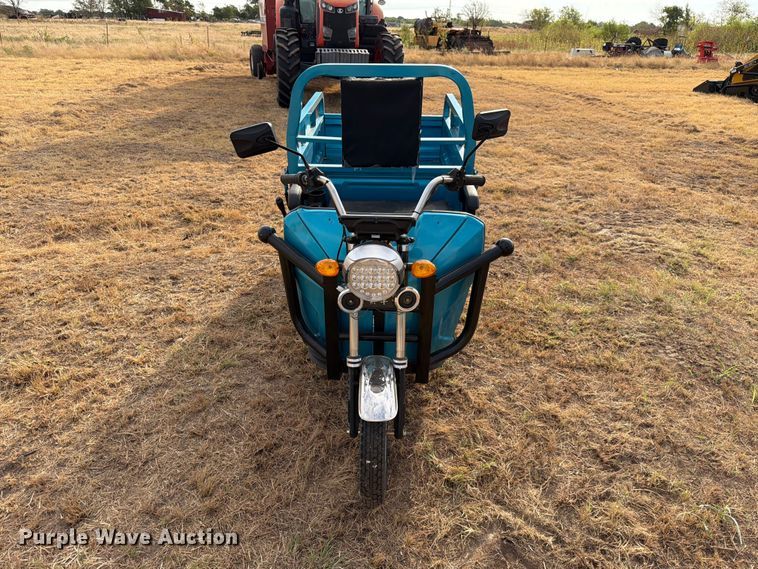 image for item EW8873 IR IRET13 electric tricycle  