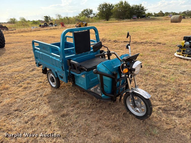 image for item EW8873 IR IRET13 electric tricycle  