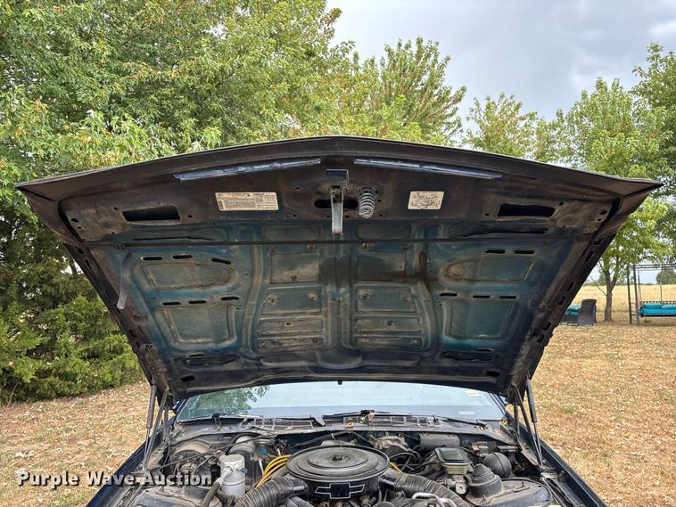 image for item FG0666 1985 Chevrolet Camaro Sport 