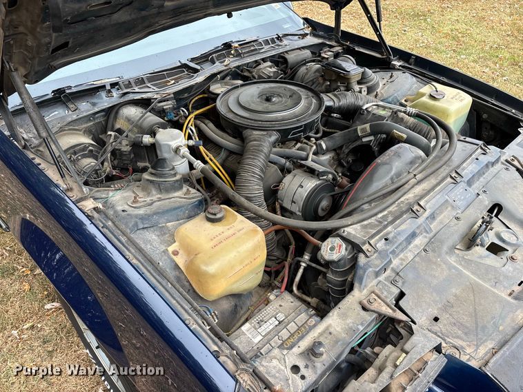 image for item FG0666 1985 Chevrolet Camaro Sport 