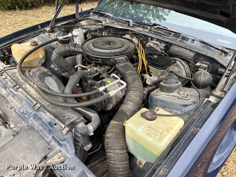 image for item FG0666 1985 Chevrolet Camaro Sport 