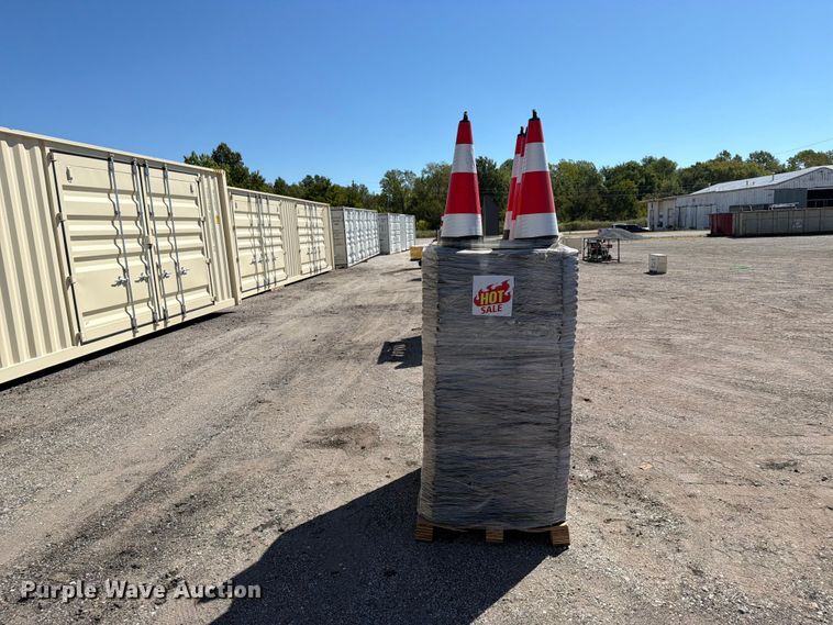 image for item EX4196 Approximately 250 cones