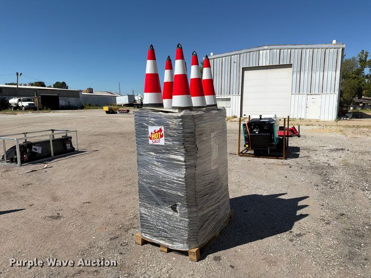 image for item EX4196 Approximately 250 cones