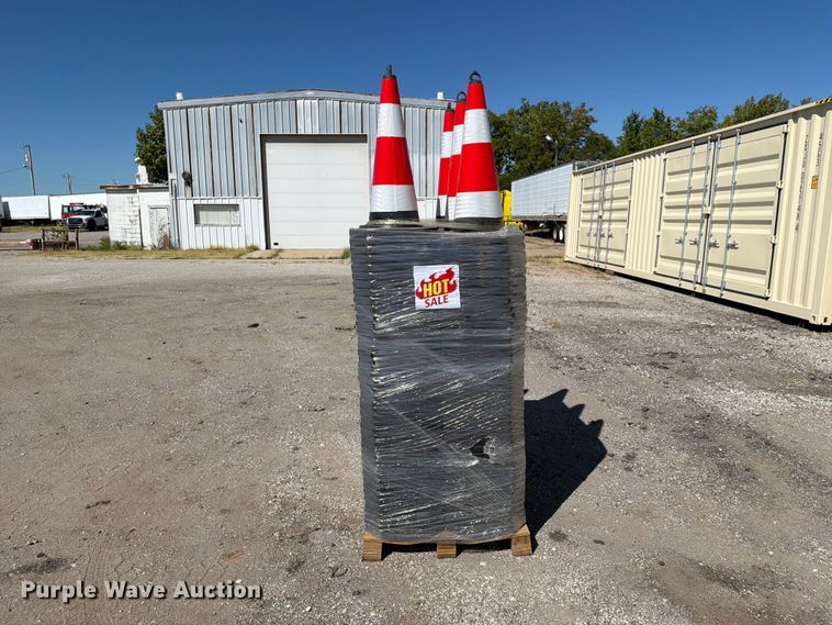 image for item EX4196 Approximately 250 cones