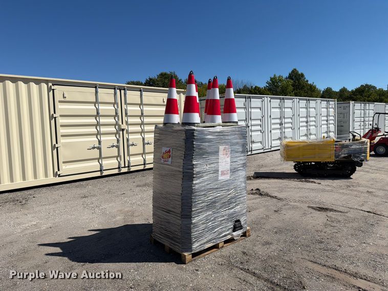 image for item EX4198 Approximately 250 cones