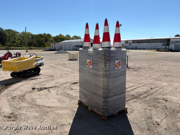 image for item EX4198 Approximately 250 cones