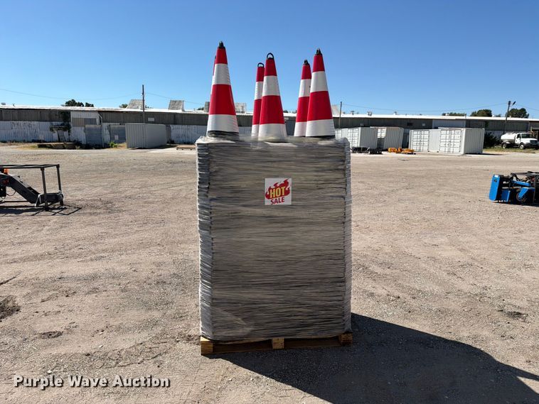 image for item EX4198 Approximately 250 cones