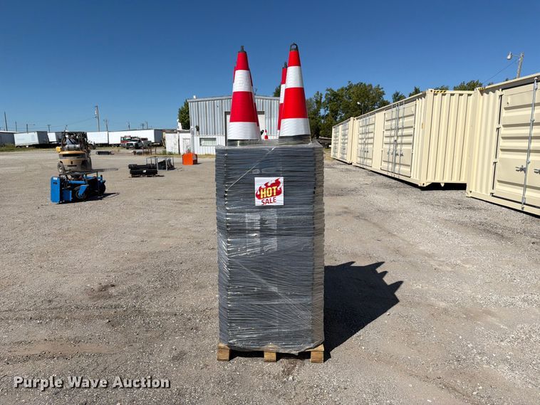 image for item EX4198 Approximately 250 cones